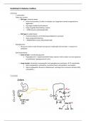 Lesnotities gecombineerd met cursus hoofdstuk 9 diabetes mellitus 