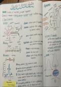 Chapter 4 Nervous system