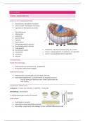 Samenvatting -  Celbiologie: KUL Voets Thomas