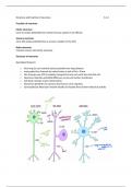 Class notes Neuronal Communication 5.3.2