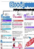 pharmacology-freebie-material latest model 2024