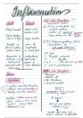 Inflammation pathogenesis 