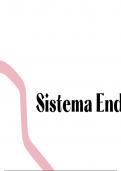 Sistema endocrino