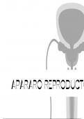 Patologías del aparato reproductor masculino