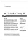 SAT PRACTICE ESSAY