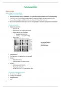Samenvatting Pathologie MSK 2