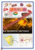 examen plus cours de système nerveux 