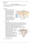 Cell Adhesion and Migration