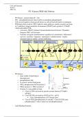 PI3-Kinase Pathway