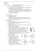 Introduction to Entomology (BI2EX5)