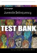 Test Bank For Juvenile Delinquency: Theory, Practice, and Law - 13th - 2018 All Chapters - 9781337091831