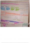 RESUMEN MATEMATICA - TEMA: FUNCIONES