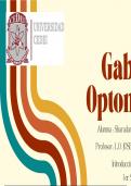 presentación componentes de un gabiente optometrico 