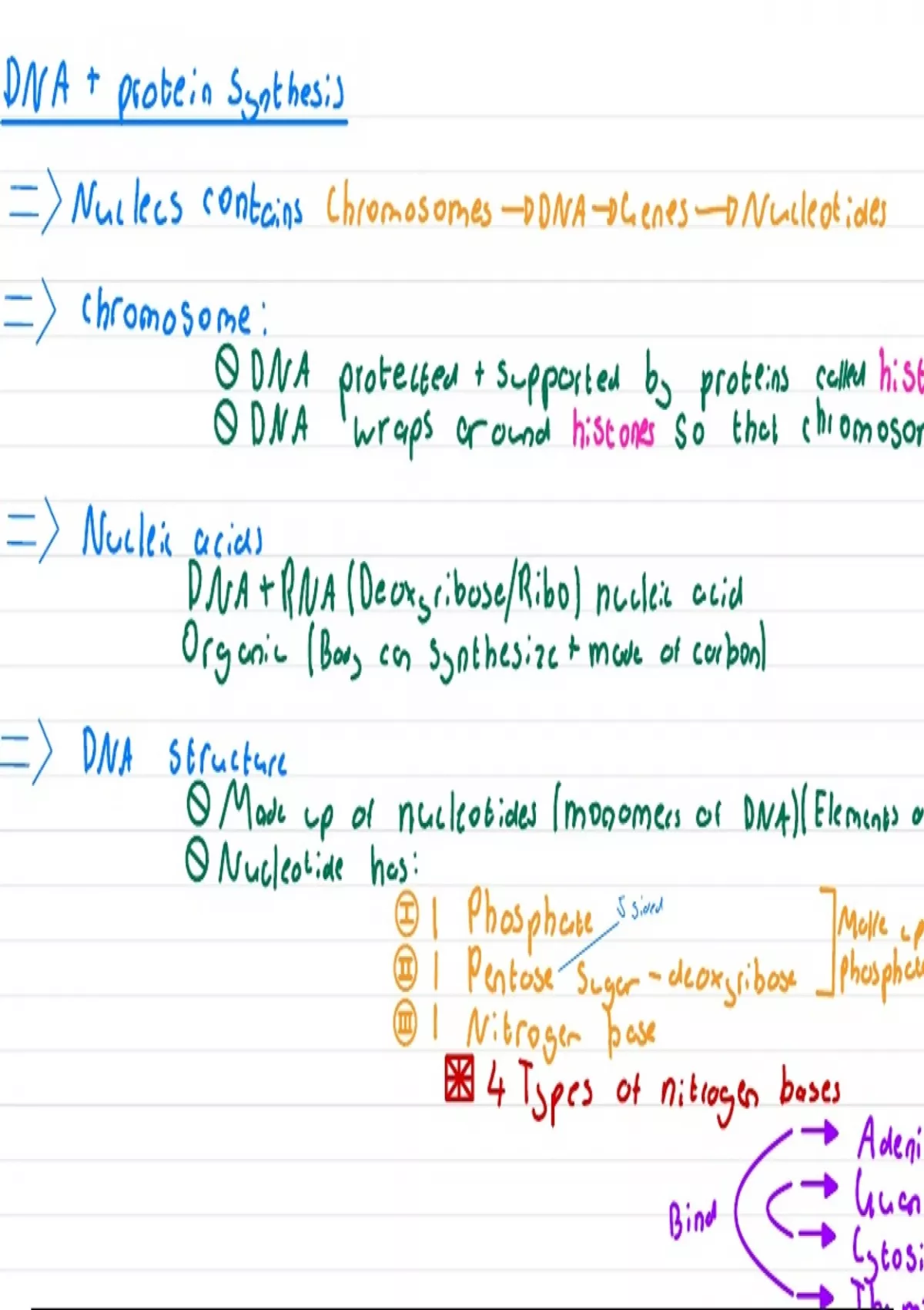 Ieb Life Science Notes Dna Meiosis And Genetics Stuvia Sa