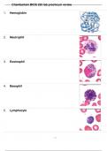 BIOS-255: ANATOMY & PHYSIOLOGY III WITH LAB {Self-Test 38} 