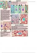 Histology