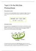 Edexcel IAL Biology Topic 5 Photosynthesis Notes