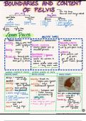 Summary-boundaries and content of pelvis