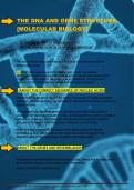 DNA Replication