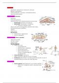 Condensed Summary of all chapters for Zoology/General Biology II Exam 2 