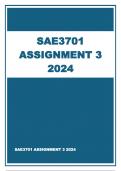 SAE3701 ASSIGNMENT 3  ANSWERS 2024