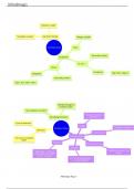  Ch100 Mastering the Elements: Chemistry Review Notes on Oxidation and Fundamental Principles"