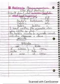 The Past Perfect Spanish Notes