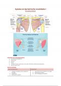 Samenvatting -  Fysieke en Geriatrische Revalidatie I