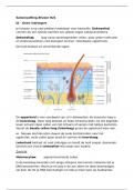 Samenvatting Nectar vwo 6 Afweer H21 -  Biologie