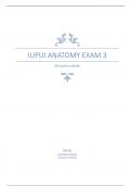 IUPUI Anatomy Exam 3
