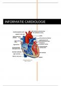 Cardiologie - alle kennis voor verpleegkundigen (in opleiding)