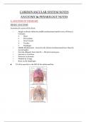CARDIOVASCULAR SYSTEM NOTES ANATOMY & PHYSIOLOGY NOTES