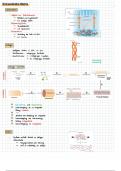 Zusammenfassung - Biochemie "Regulation Calcium- und Phosphathaushalt"