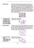 Erythrocytes Disorders and Anemia & Endocrine Labs