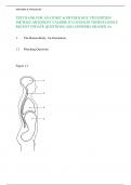 TEST BANK FOR ANATOMY & PHYSIOLOGY 5TH EDITION  MICHAEL MCKINLEY VALERIE O’LOUGHLIN THERESA BIDLE RECENT UPDATE QUESTIONS AND ANSWERS GRADED A+