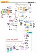 BCH3053 (Biochemistry) Pathway master summary