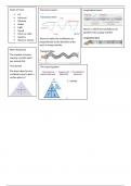 GCSE Physics revision notes for waves