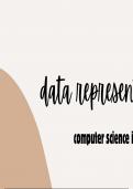 computer science igcse data representation ch 1