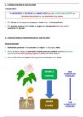 IGCSE GCSE 0610 Plants Transport Translocation Revision Note