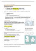 Samenvatting toets EPA OBS3 laag-/middencomplexe barende