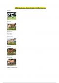 AEST Ag System - Dairy Industry Verified Answers  