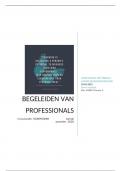 Toetsverslag Minor Begeleidingskunde, vak: Begeleiden van professionals, E-coaching