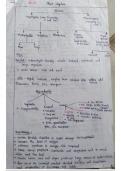 "CBSE class 11th science Mind map Handmade Notes"