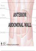 Embryology Textbook plus  3 NOTES  of Human Anatomy 301