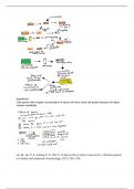 cell culture