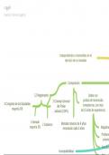 TEMA_3__EL_TRIBUNAL_CONSTITUCIONAL esquema