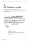 3 El Tribunal Constitucional