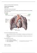 Biologie nectar H9 bloedsomloop