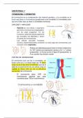 OBSTETRICIA