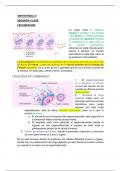 OBSTETRICIA 2